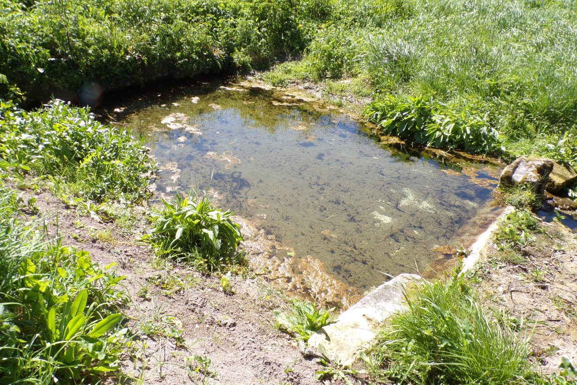 Juillac-le-Coq - Le lavoir 'Les Joussons' à 20 mètres (7 avril 2017)