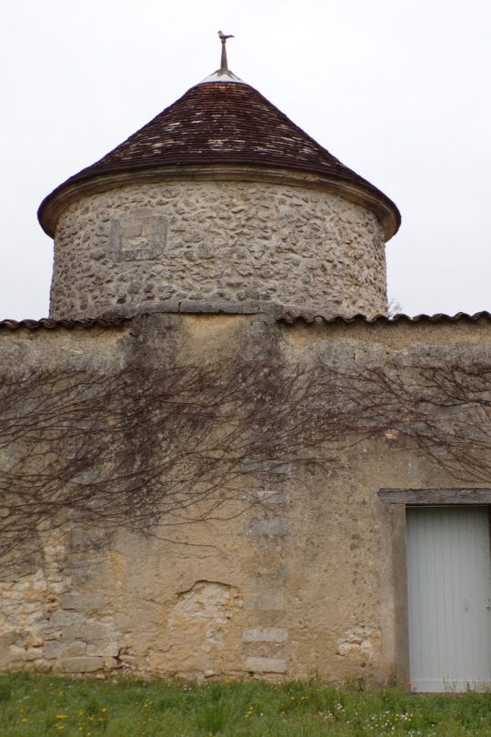 Javrezac - Le pigeonnier des Angeliers (24 mars 2017)