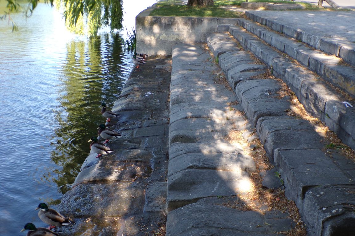 Jarnac - Le lavoir de la Font Badan (19 avril 2017)