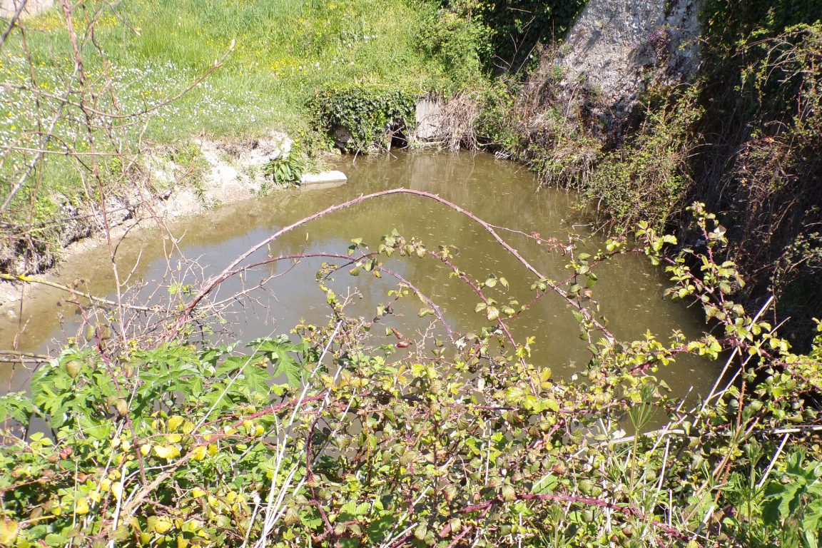 Juillac-le-Coq - Le lavoir 'Chez Blanchon' (7 avril 2017)