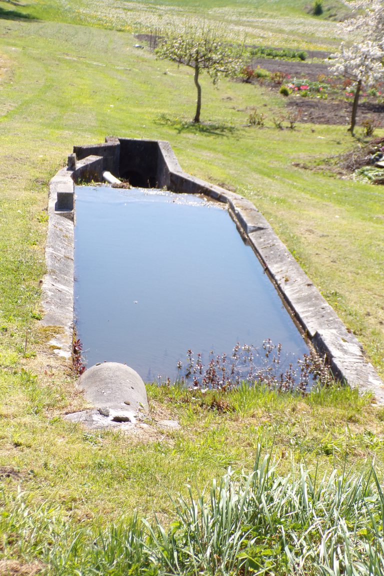 Juillac-le-Coq - Le lavoir 'Les Doribeaux' (7 avril 2017)