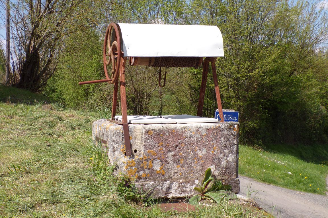 Cherves-Richemont - Le puits à l'entrée du Château de Chesnel (3 avril 2017)
