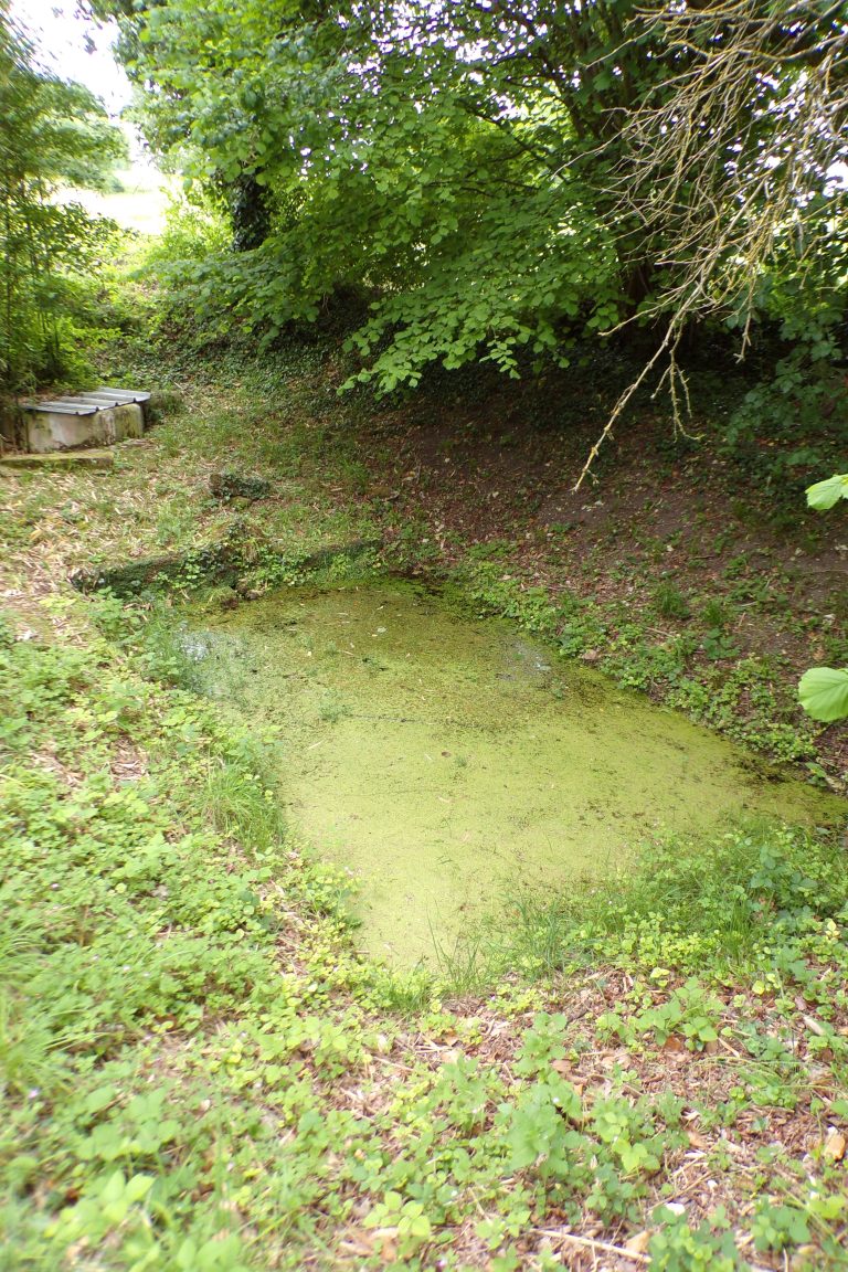 Segonzac - Le lavoir de Champagnoux (31 mai 2017)