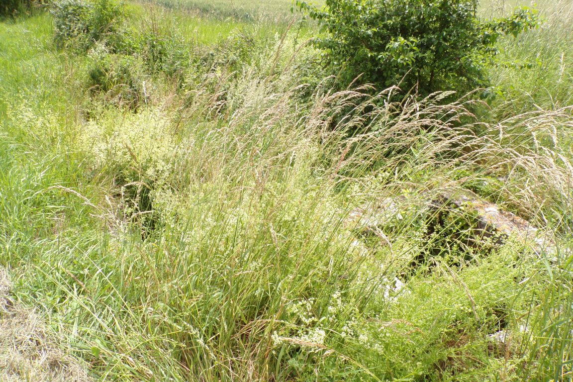 Bonneuil - Le lavoir de Pesseville (31 mai 2017)