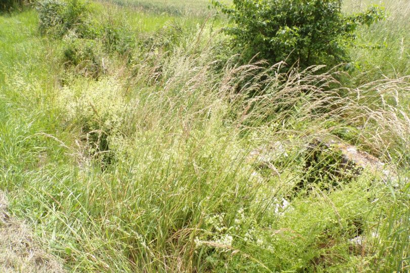 Bonneuil - Le lavoir de Pesseville (31 mai 2017)