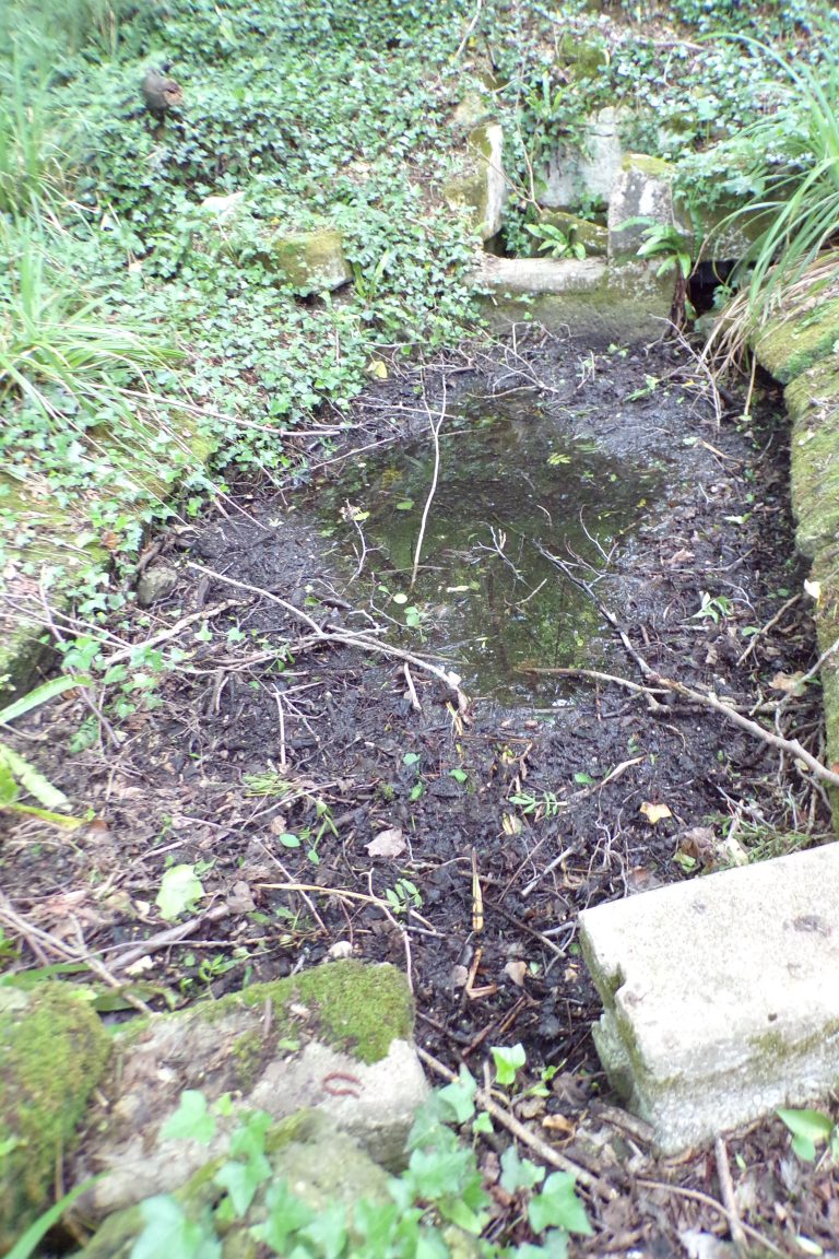 Saint-Sulpice de Cognac - Le lavoir du Peuyon (12 mai 2017)