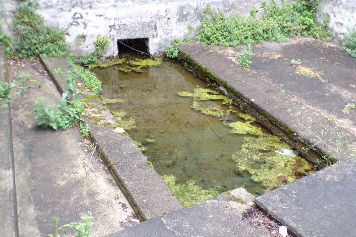 Nercillac - Le lavoir 'La Soloire' (29 mai 2017)