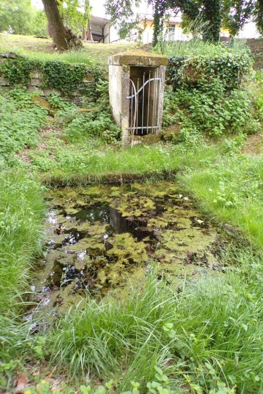 Lignières-Sonneville - Le lavoir Puyguiller (31 mai 2017)