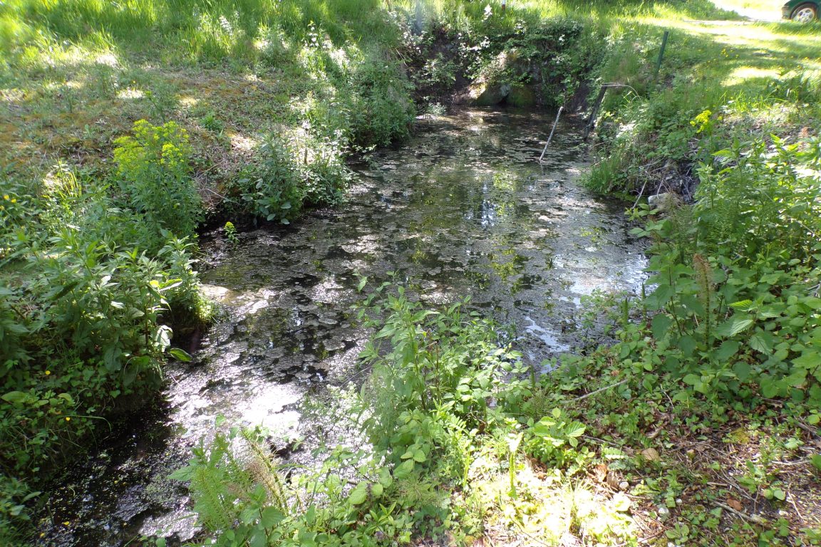 Saint-Preuil - La fuie (15 mai 2017)