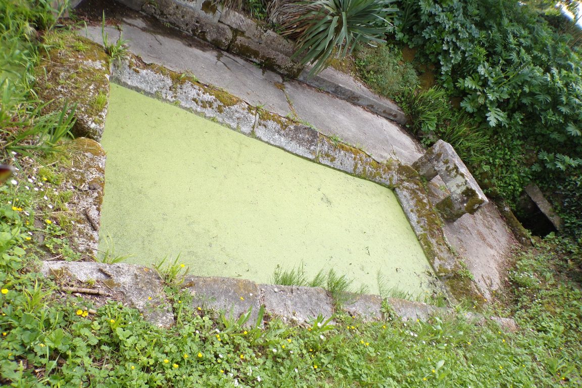 Saint-Même les Carrières - Le lavoir de Chez Boidon (8 mai 2017)