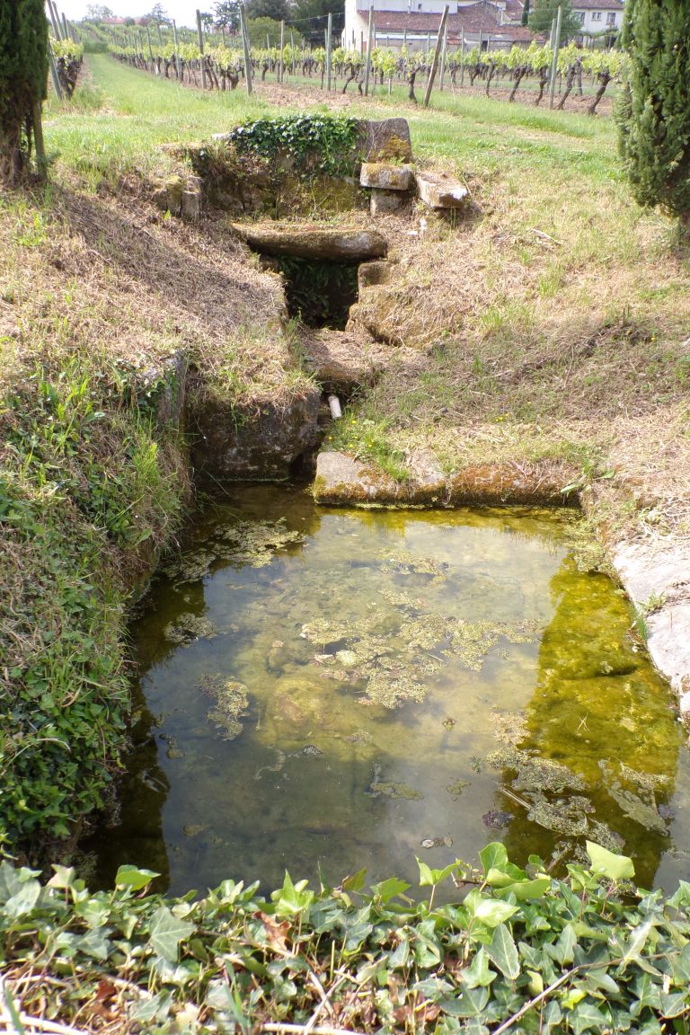 Saint-Même les Carrières - Le lavoir de Chez Faumet (8 mai 2017)