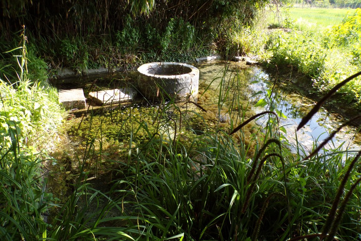 Gensac-la-Pallue - Le lavoir des Martinauds (8 mai 2017)