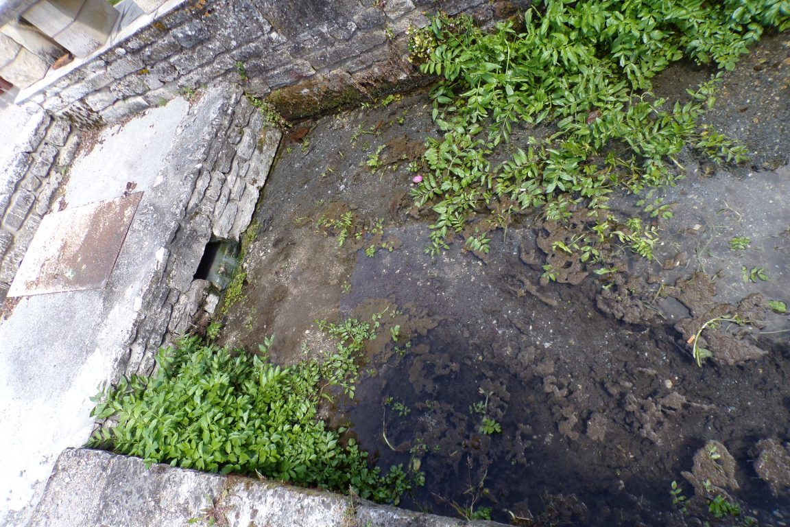 Sonnac - La source de 'La Sonnoire' (7 mai 2017)