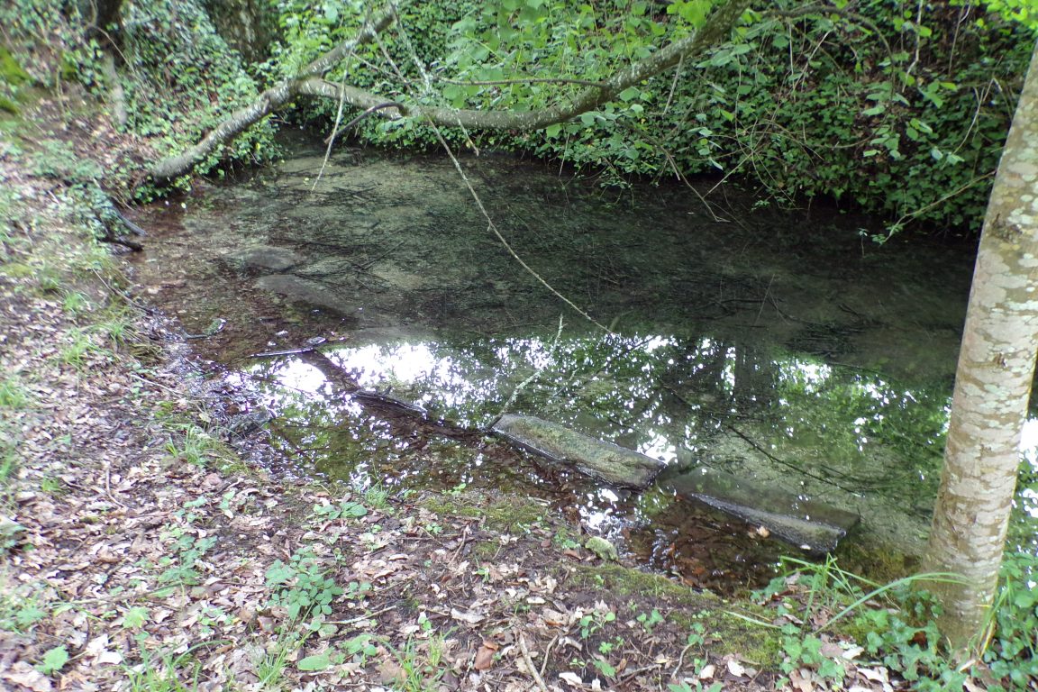 Cherves-Richemont - Le lavoir de Bujard-Lorgères (2 juillet 2017)