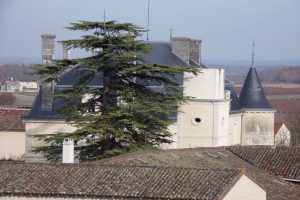 Cherves-Richemont - Fontaulière (21 novembre 2017)