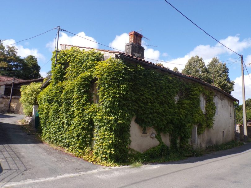 Javrezac - Le logis de Sainte-Ozanie (28 août 2016)