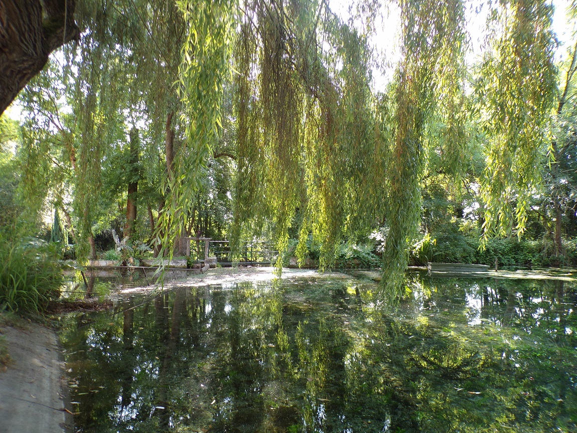 Gensac-la-Pallue - Le moulin au Gouffre (15 août 2016)