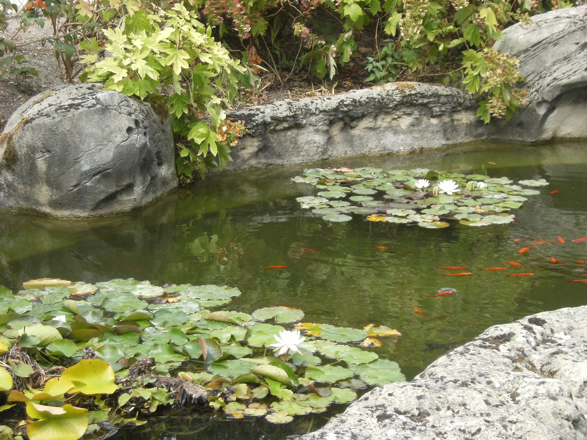 Hôtel de ville (20 juillet 2015)