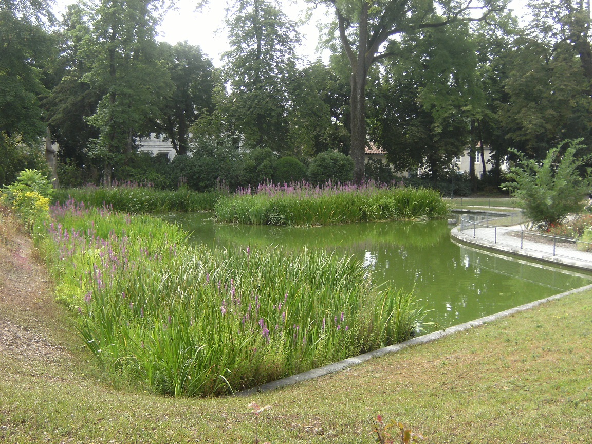 Hôtel de ville (20 juillet 2015)