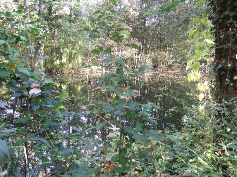 L'Antenne - Vallée de l'Antenne (12 novembre 2015)