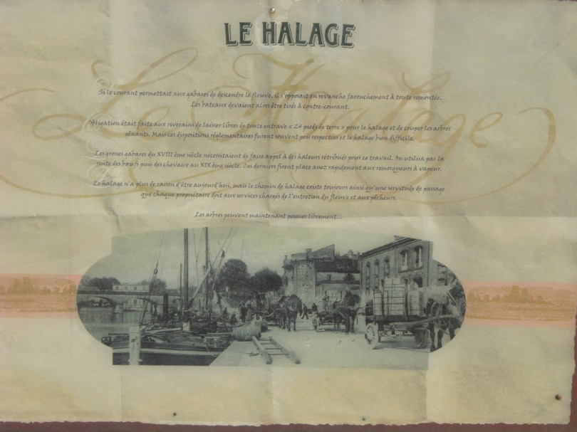 Musée des Arts du cognac (17 juillet 2015)