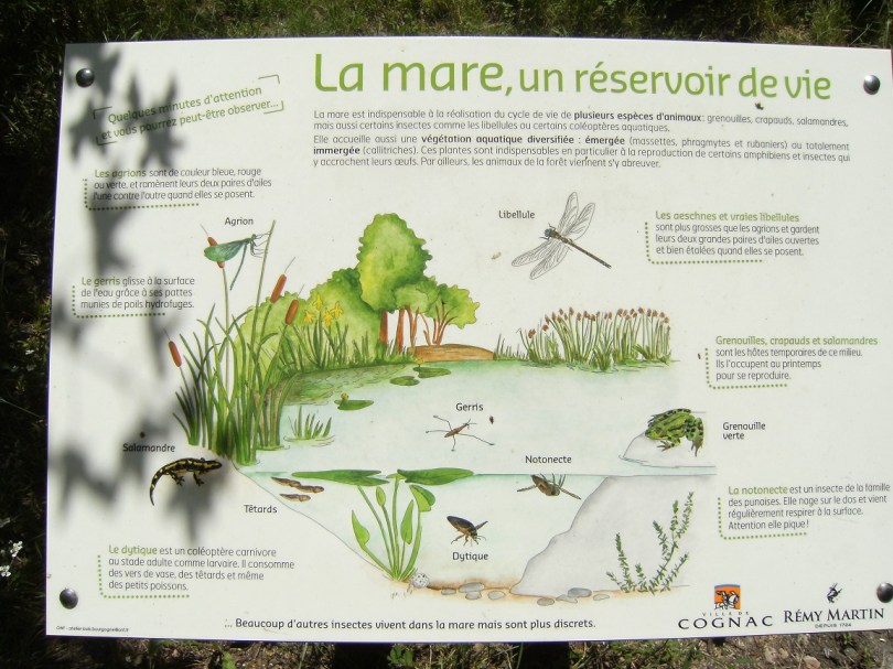 Parc François Ier (25 juin 2015)