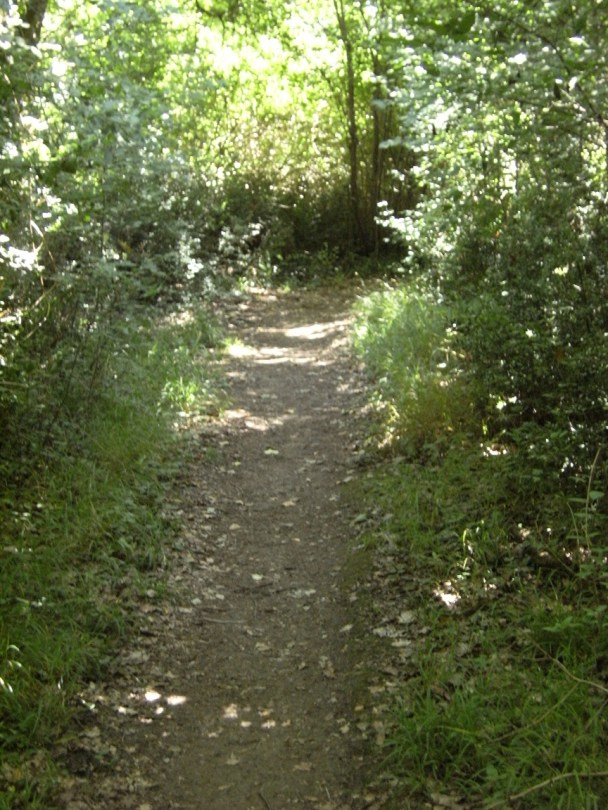 Parc François Ier (25 juin 2015)