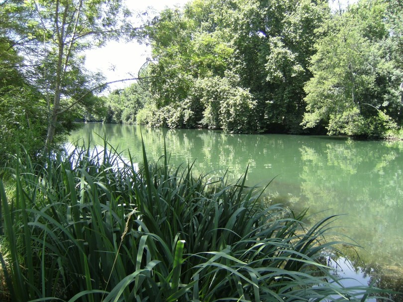 Parc François Ier (25 juin 2015)