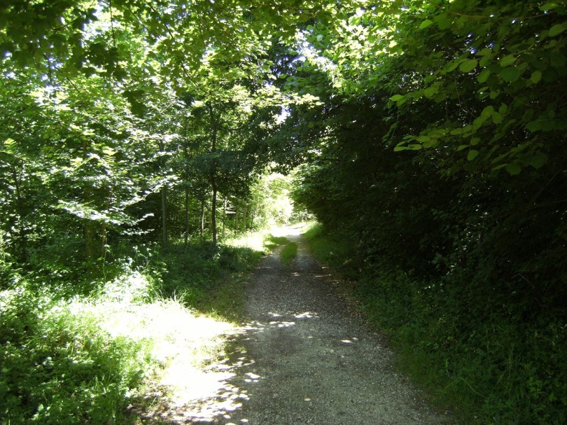 Parc François Ier (25 juin 2015)