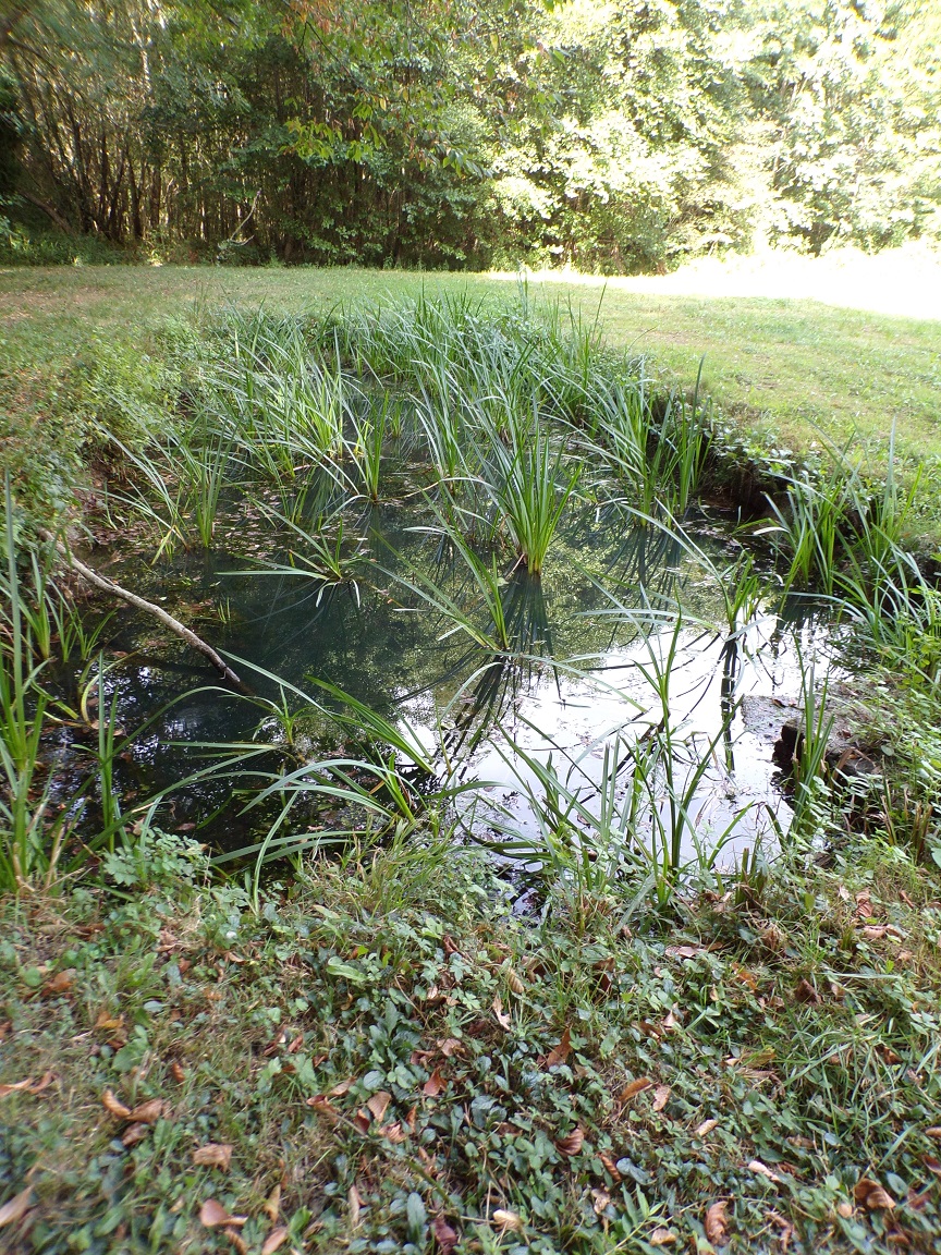 Saint-André - Le lavoir 'Ris Belot' (12 septembre 2016)