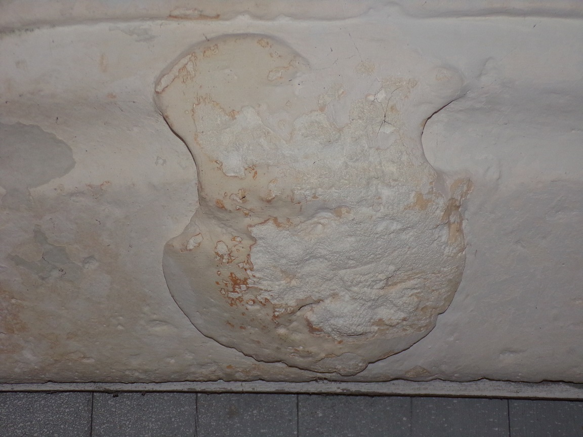 Salles d'Angles - La Chapelle des Templiers (30 juin 2020)