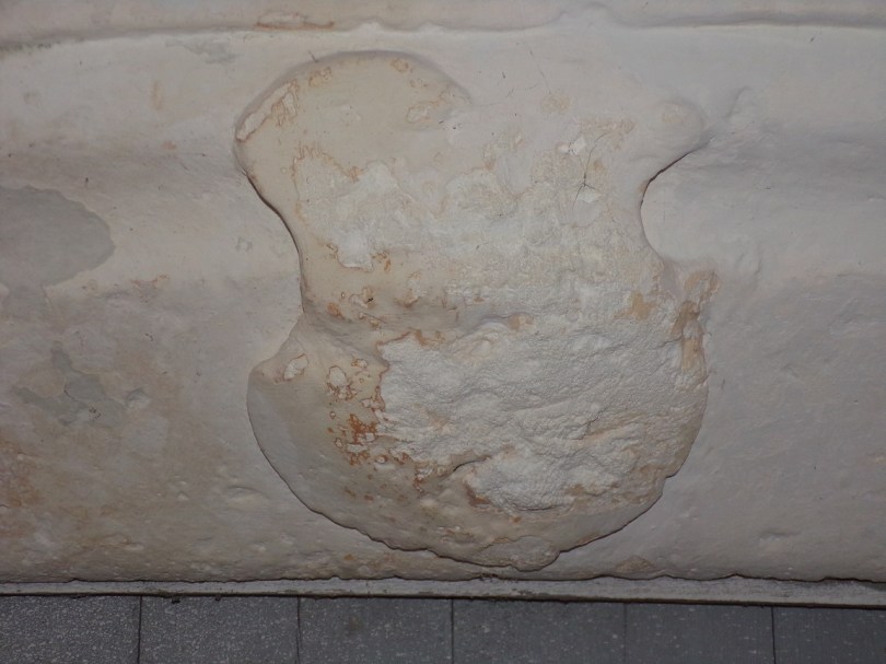 Salles d'Angles - La Chapelle des Templiers (30 juin 2020)