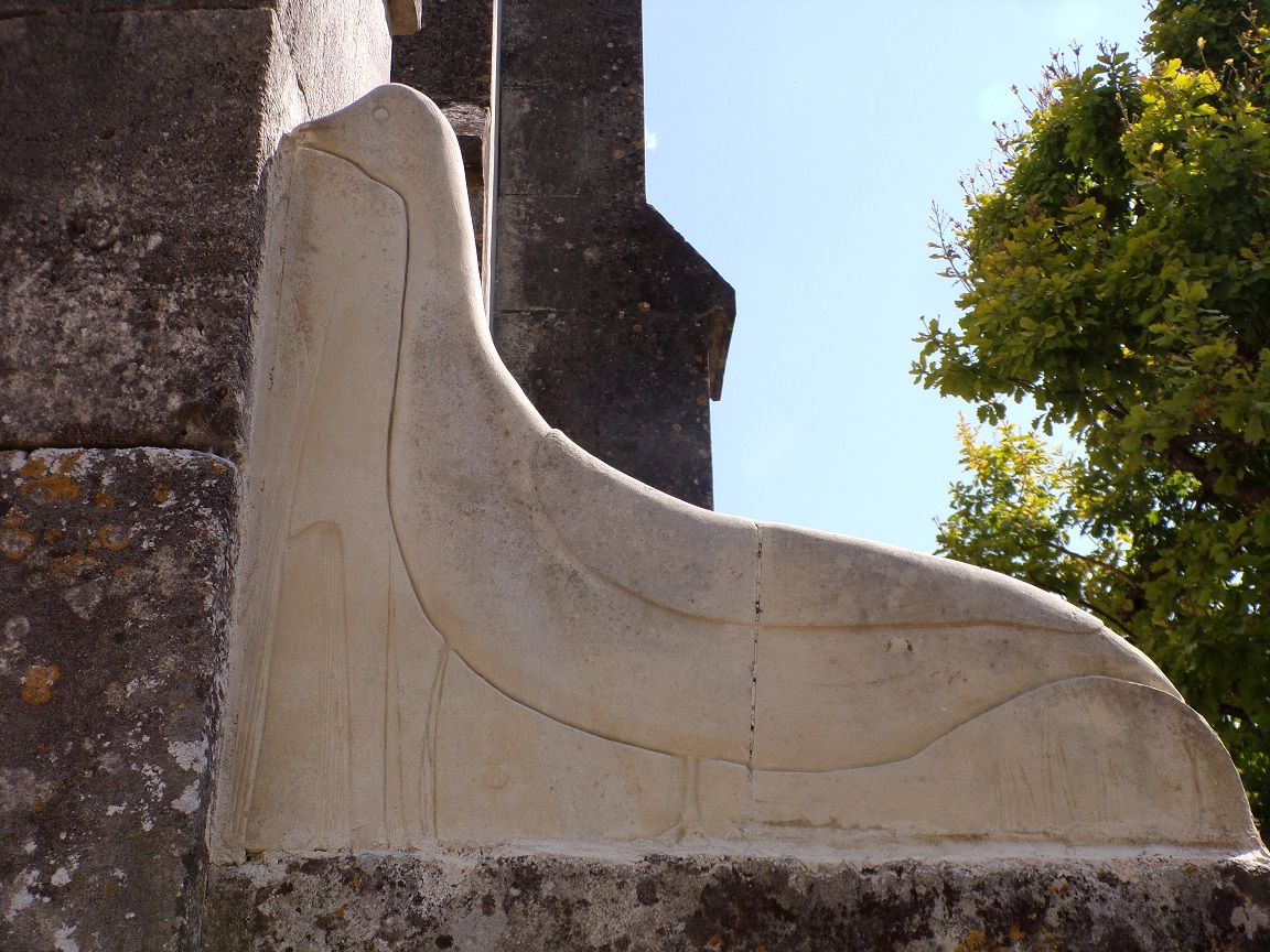 Une oie (30 août 2021)