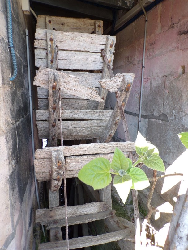 Jarnac - Moulins (16 avril 2022)