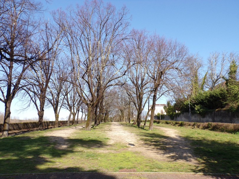 Esplanade Georges Clémenceau (27 février 2022)