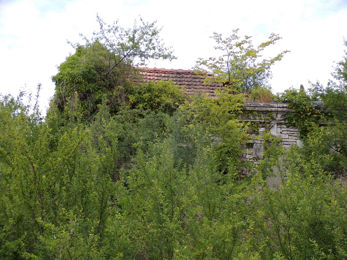 Saint-Fort-sur-le-Né - La Chapelle de la Renorvillle (1 juin 2022)