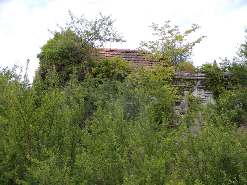 Saint-Fort-sur-le-Né - La Chapelle de la Renorvillle (1 juin 2022)