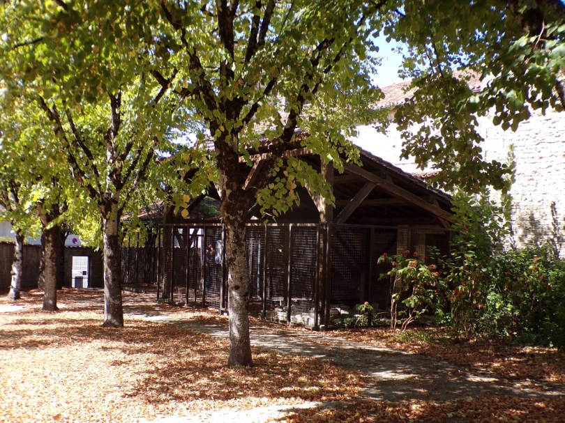 La Nécropole de Saint-Martin (18 septembre 2022)