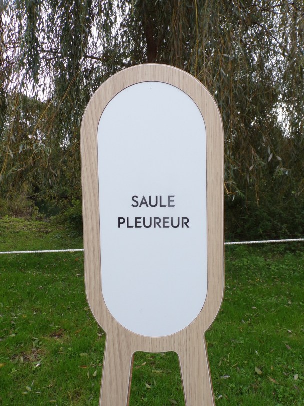 Château de Bagnolet 'Saule pleureur' (15 octobre 2022)