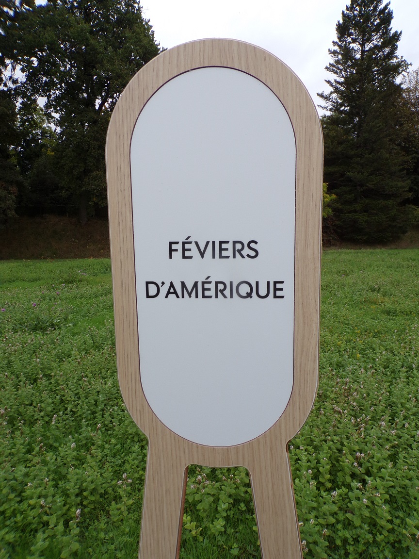 Château de Bagnolet 'Féviers d'Amérique' (15 octobre 2022)