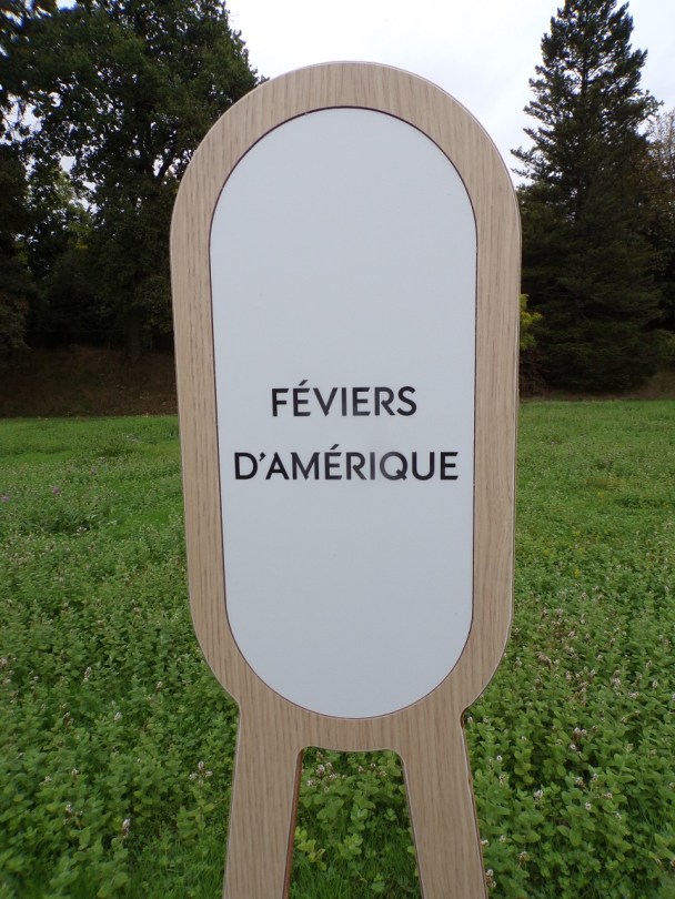 Château de Bagnolet 'Féviers d'Amérique' (15 octobre 2022)