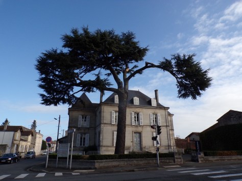 Hôtel de négociant N° 113 (1 novembre 2022)