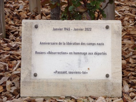 Place Charles De Gaulle - Anniversaire de la libération des camps nazis (14 avril 2023)