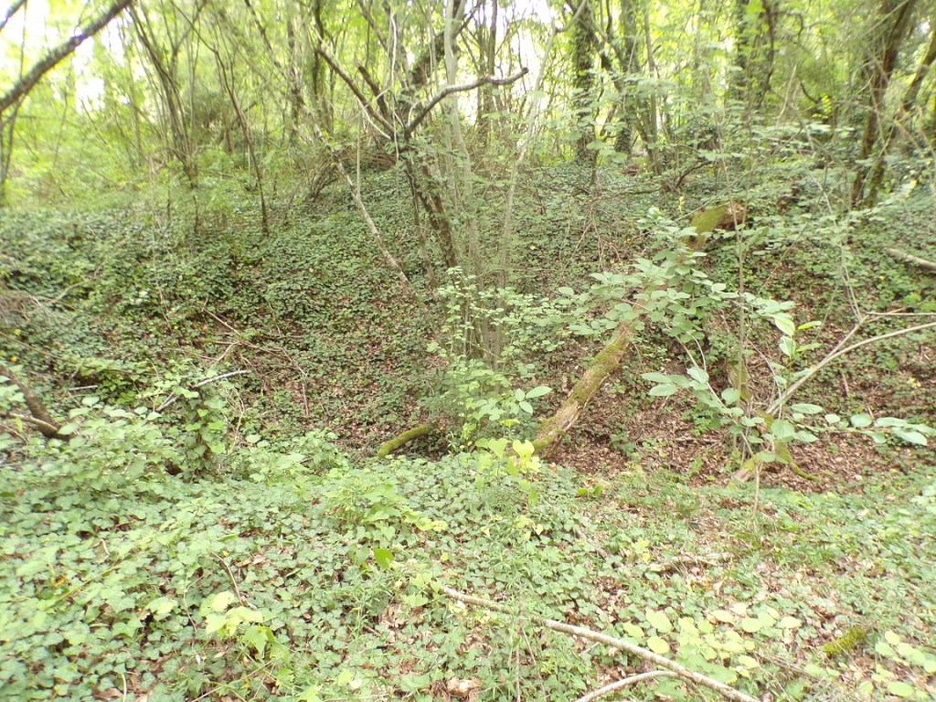 Sigogne - Le Four à Chaux (22 juillet 2023)