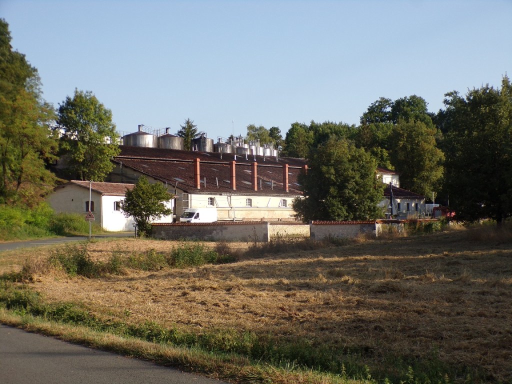Chérac - La distillerie 'La Perruge' (22 août 2023)