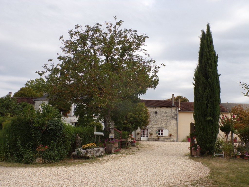 Segonzac - Chez Richon - Distillerie 'Forgeron' (14 août 2023)