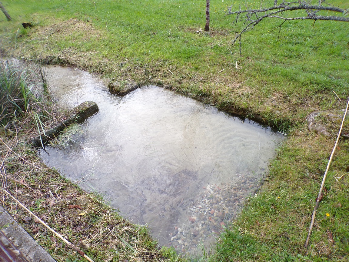 Cherves-Richemont – Un deuxième lavoir de la Bricoine (4 avril 2024)