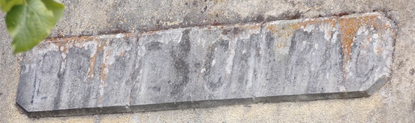 Brives-sur-Charente - La gare de Brives-sur-Charente (30 mai 2024)