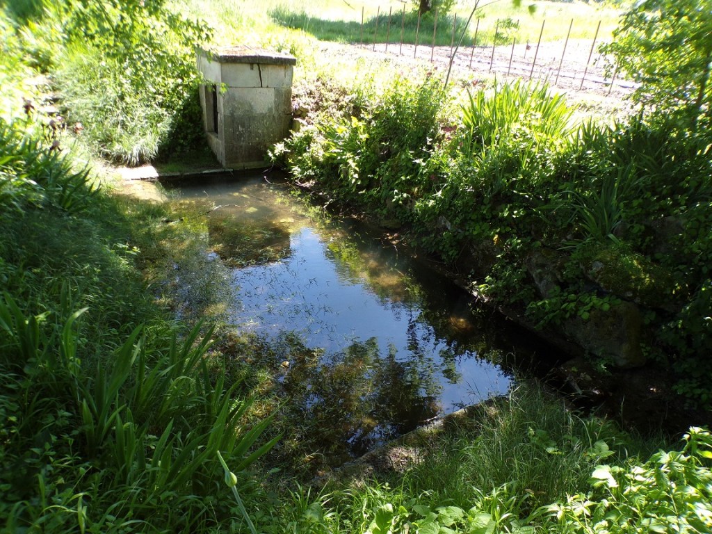 Salles d'Angles - La Font Salaire (9 mai 2024)