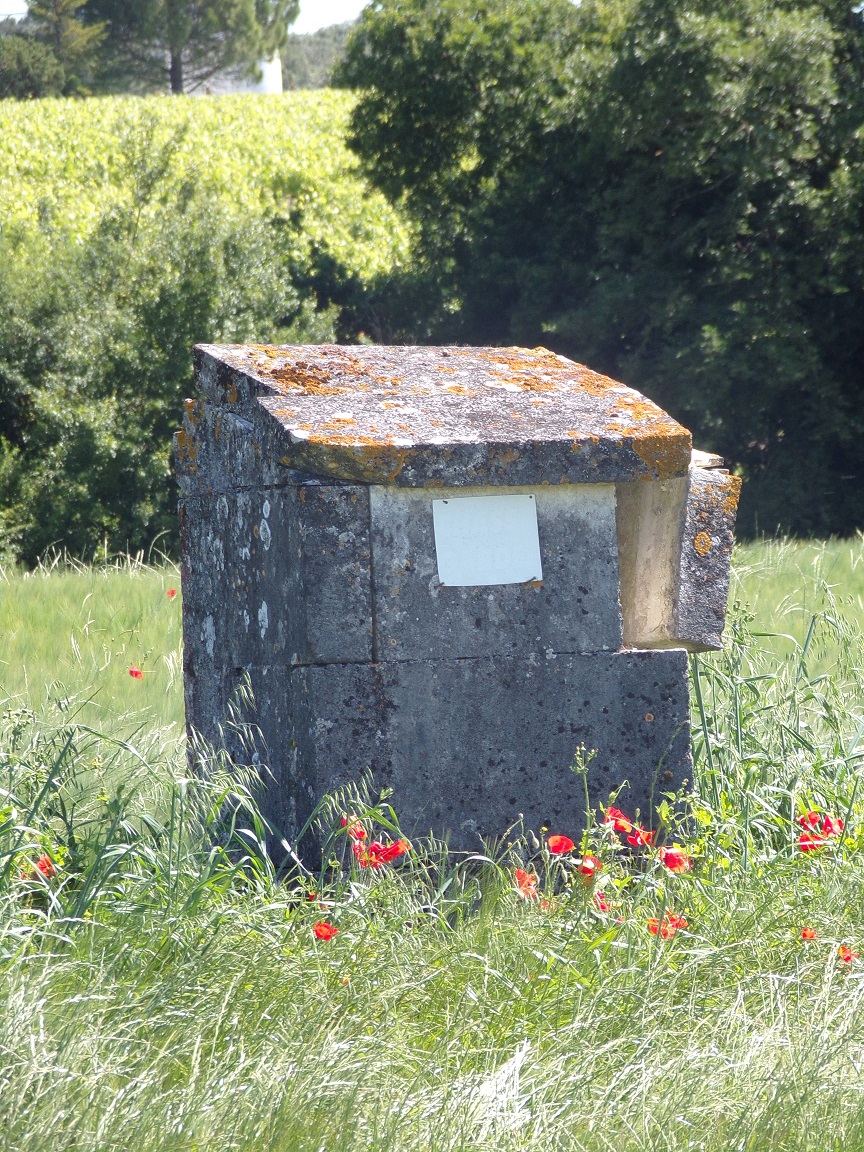 Bouteville – Un puits à la Bouarderie (10 juin 2024)